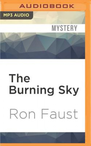 Digital The Burning Sky Ron Faust