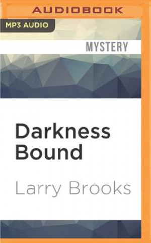 Digital Darkness Bound Larry Brooks