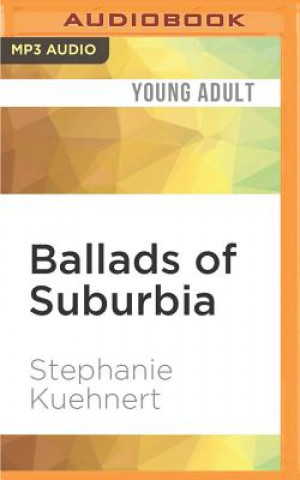 Digital Ballads of Suburbia Stephanie Kuehnert