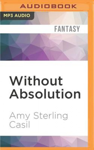 Digital Without Absolution Amy Sterling Casil
