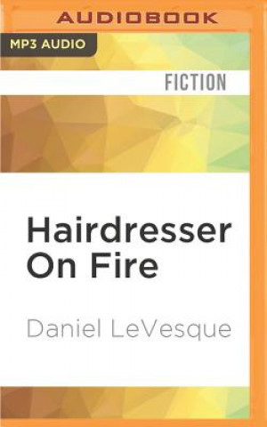 Digital Hairdresser on Fire Daniel Levesque