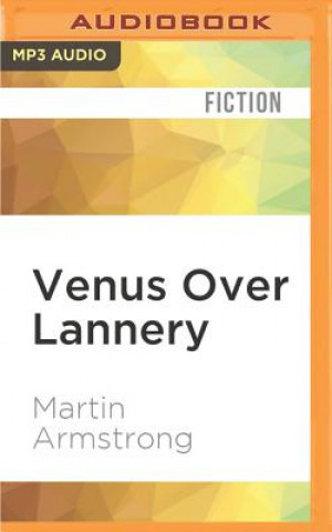 Digital Venus Over Lannery Martin Armstrong