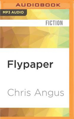 Digital Flypaper Chris Angus