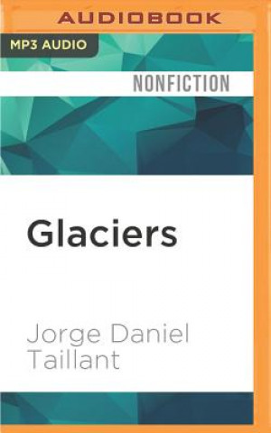 Digital Glaciers: The Politics of Ice Jorge Daniel Taillant