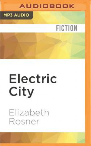 Digital Electric City Elizabeth Rosner