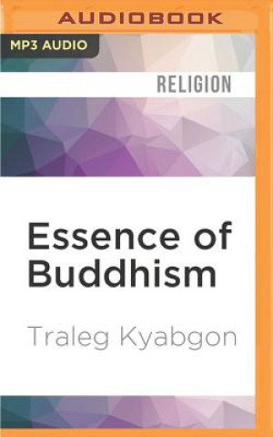 Digital Essence of Buddhism: An Introduction to Its Philosophy and Practice (Shambhala Dragon Editions) Traleg Kyabgon