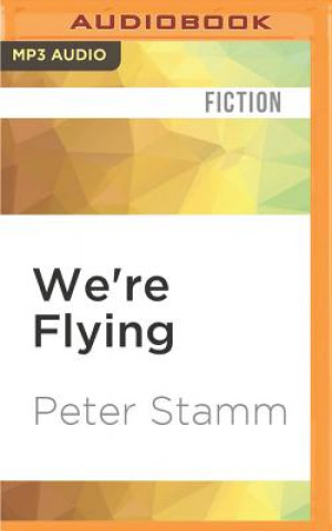 Digital We're Flying: Stories Peter Stamm