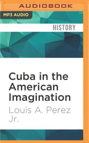 Digital Cuba in the American Imagination: Metaphor and the Imperial Ethos Louis A. Perez