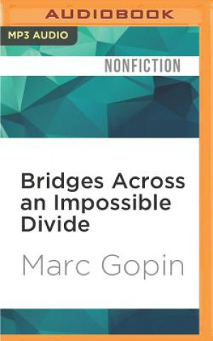 Digital Bridges Across an Impossible Divide: The Inner Lives of Arab and Jewish Peacemakers Marc Gopin