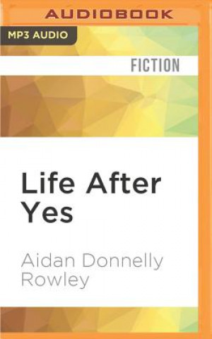 Numérique Life After Yes Aidan Donnelly Rowley