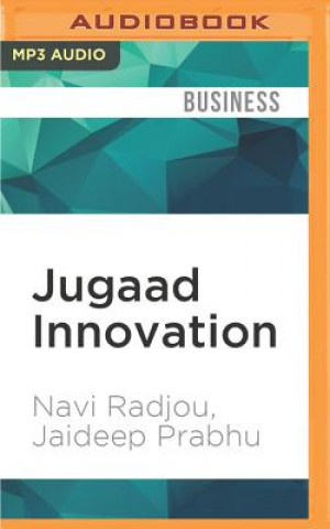 Аудио Jugaad Innovation: Think Frugal, Be Flexible, Generate Breakthrough Growth Navi Radjou