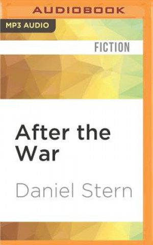 Digital After the War Daniel Stern
