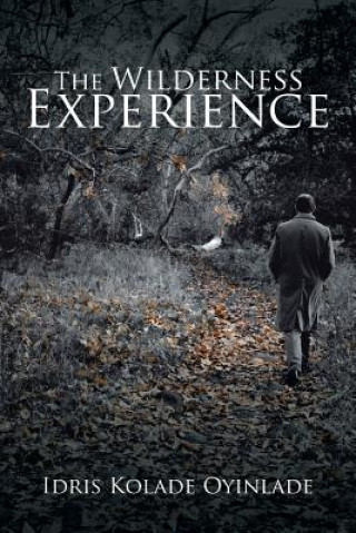 Kniha Wilderness Experience Idris Kolade Oyinlade