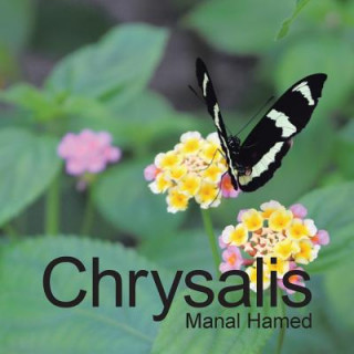 Carte Chrysalis Manal Hamed
