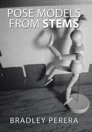Carte Pose Models from Stems Bradley Perera