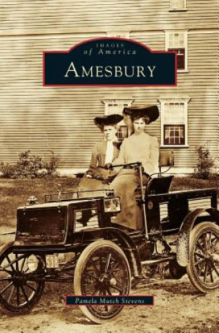 Libro Amesbury Pamela Mutch Stevens