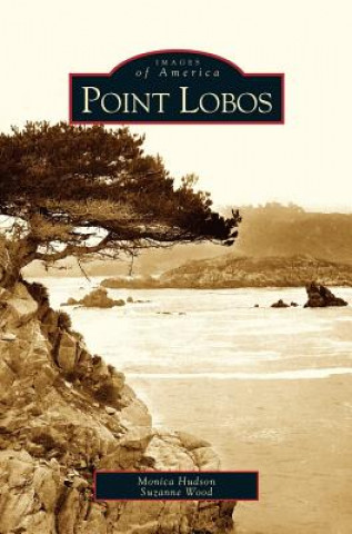 Kniha Point Lobos Monica Hudson