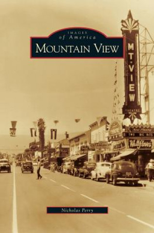 Kniha Mountain View Nicholas Perry
