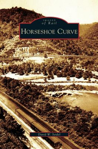 Kniha Horseshoe Curve David W. Seidel