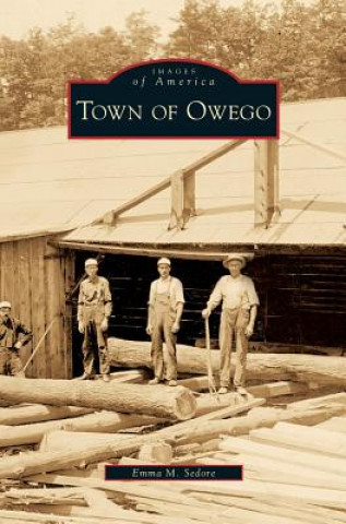 Carte Town of Owego Emma M. Sedore