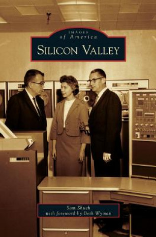 Kniha Silicon Valley Sam Shueh