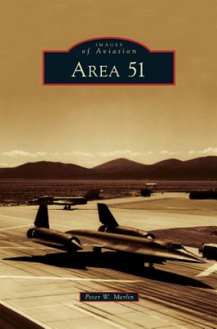 Kniha Area 51 Peter W. Merlin