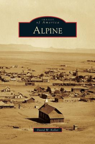 Książka Alpine David W. Keller