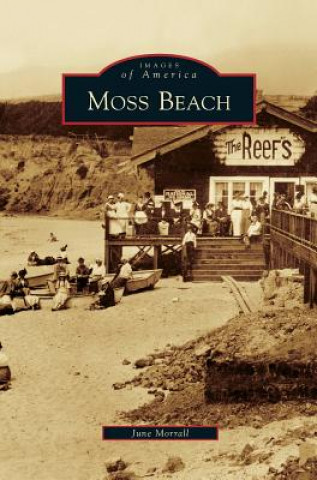 Knjiga Moss Beach June Morrall