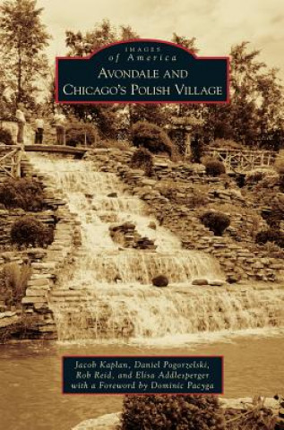 Kniha Avondale and Chicago's Polish Village Jacob Kaplan