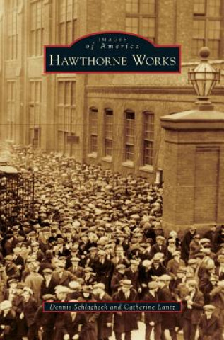 Könyv Hawthorne Works Dennis Schlagheck