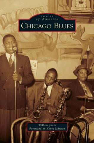 Kniha Chicago Blues Wilbert Jones