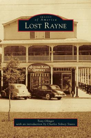 Könyv Lost Rayne Tony Olinger