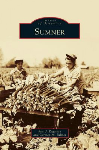 Boek Sumner Paul J. Rogerson