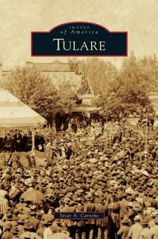 Knjiga Tulare Sesar a. Carreno