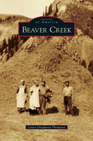 Könyv Beaver Creek Laura Chiappetta Thompson