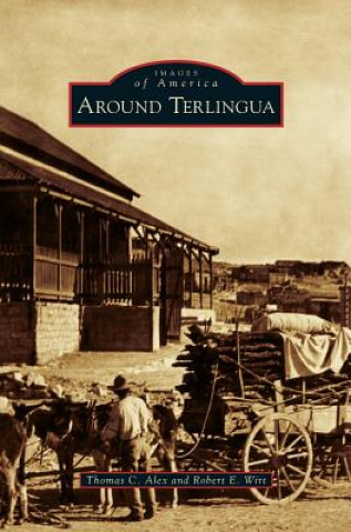 Libro Around Terlingua Thomas C. Alex