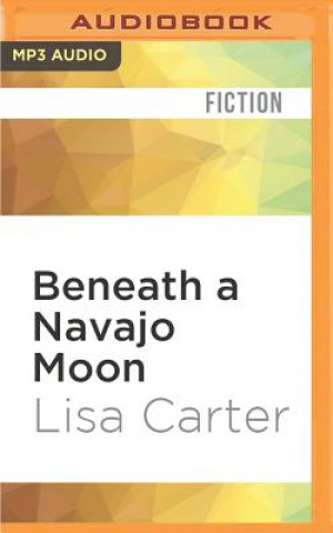 Digital Beneath a Navajo Moon Lisa Carter