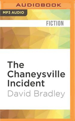 Digital The Chaneysville Incident David Bradley