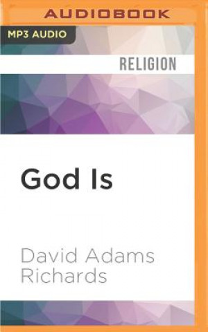 Digital God Is: My Search for Faith in a Secular World David Adams Richards
