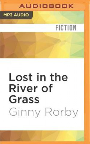 Digitale Lost in the River of Grass Ginny Rorby