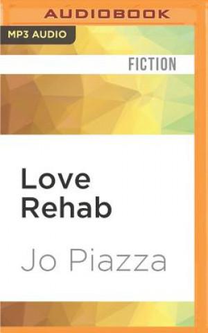 Digital Love Rehab: A Novel in Twelve Steps Jo Piazza