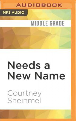 Digital Needs a New Name Courtney Sheinmel