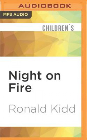 Digital Night on Fire Ronald Kidd