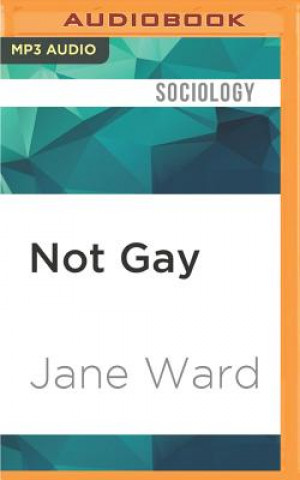 Digital Not Gay: Sex Between Straight White Men Jane Ward