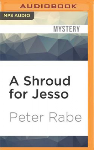 Digital A Shroud for Jesso Peter Rabe