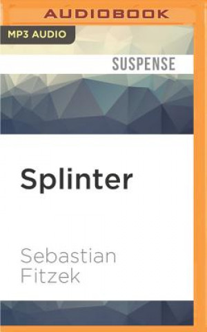 Digital Splinter Sebastian Fitzek