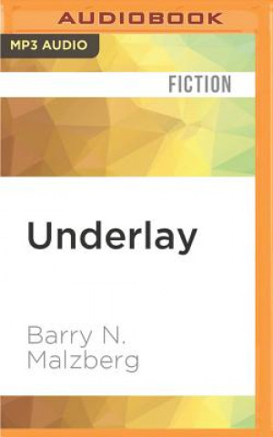 Digital Underlay Barry N. Malzberg