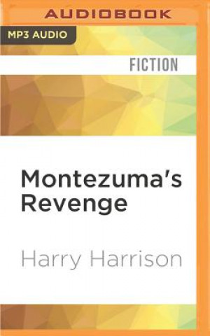 Digital Montezuma's Revenge Harry Harrison