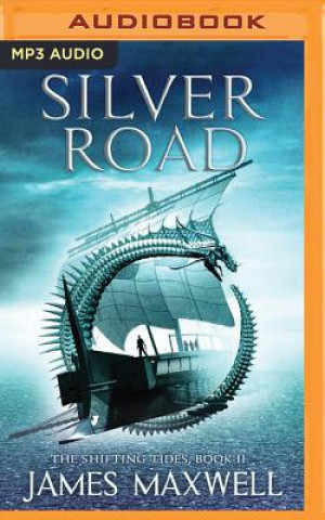 Digital Silver Road James Maxwell