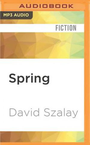 Digital Spring David Szalay